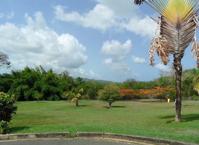 Palm Villa Resort For Sale Tobago Real Estate