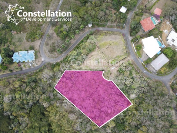 CDS Real Estate Trinidad & Tobago | Land for Sale Pleasant Prospect.