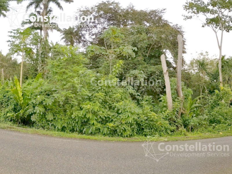 Land for Sale Penal Trinidad - 4.7+ Acres Freehold Agricultural Land