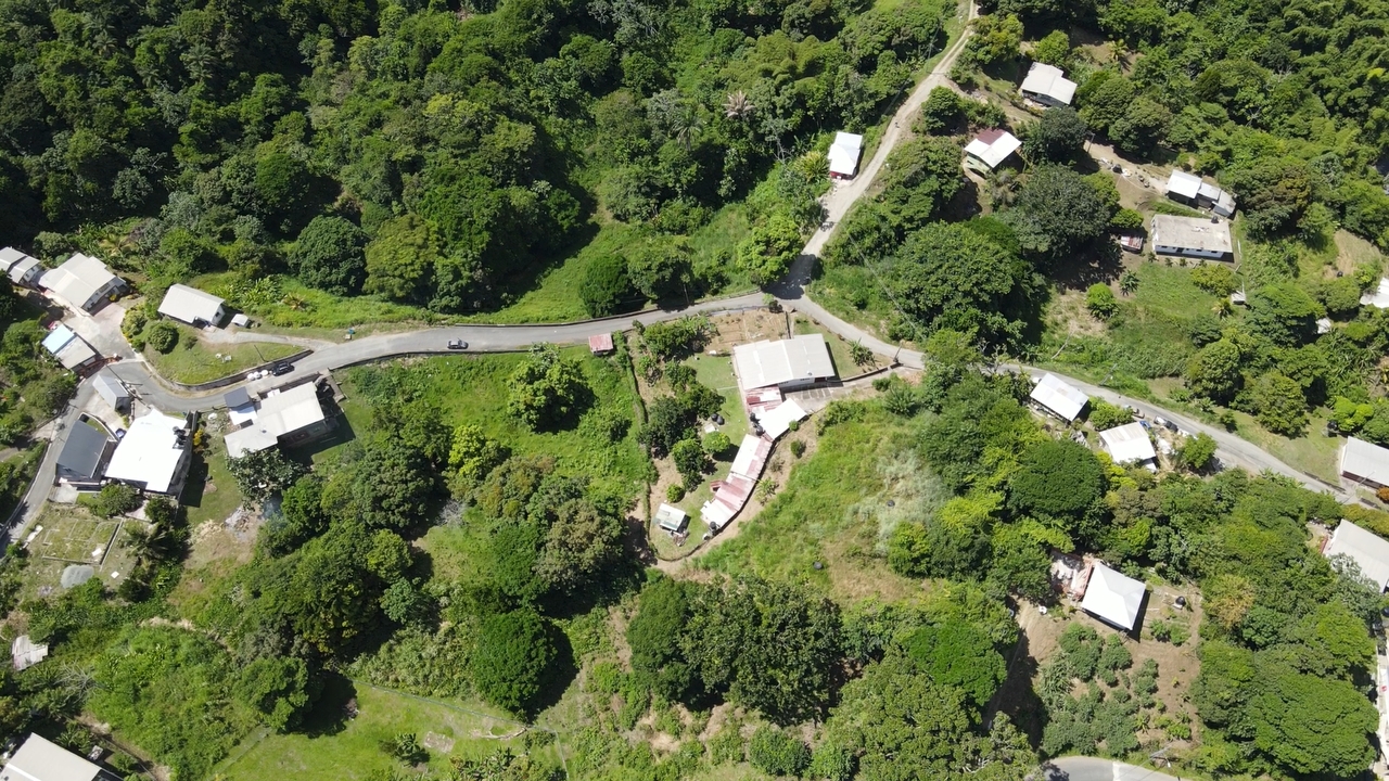 Aerial view of Mason Hall 4 Acres and 1 House for Sale