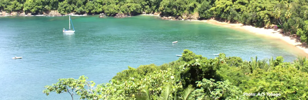 Tropical Vacation Rentals Tobago - photo of a beach Tobago 2